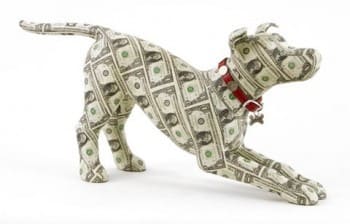 moneydog[1]