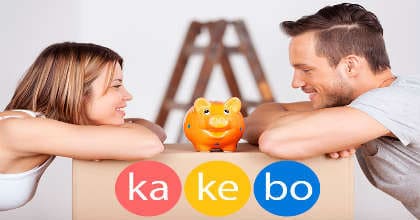 система ведения семейного бюджета kakebo