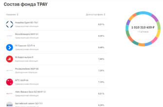 TPAY - состав фонда