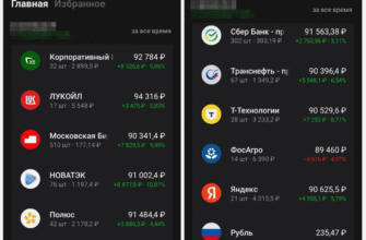 Мой стузинг портфель
