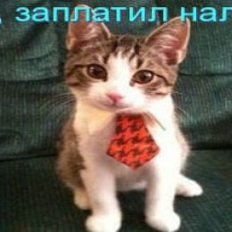 Налог на банковские вклады физических лиц. Сколько денег заберет государство?